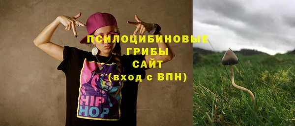 шишки Алексеевка