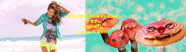 шишки Алексеевка