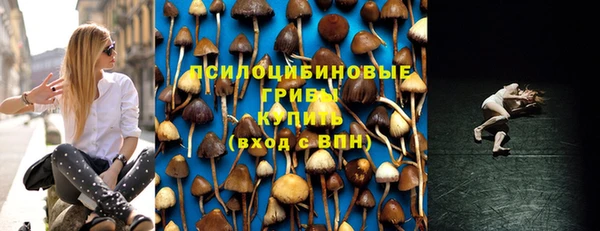 шишки Алексеевка