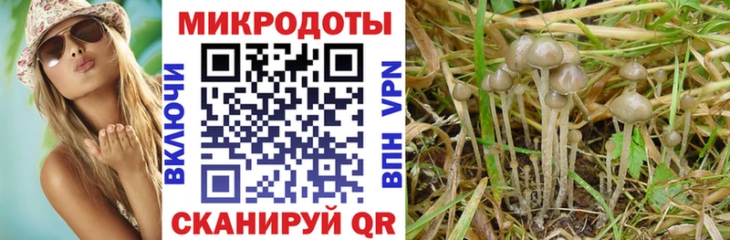 Купить закладки  Кукмор  Псилоцибиновые грибы Psilocybine cubensis 